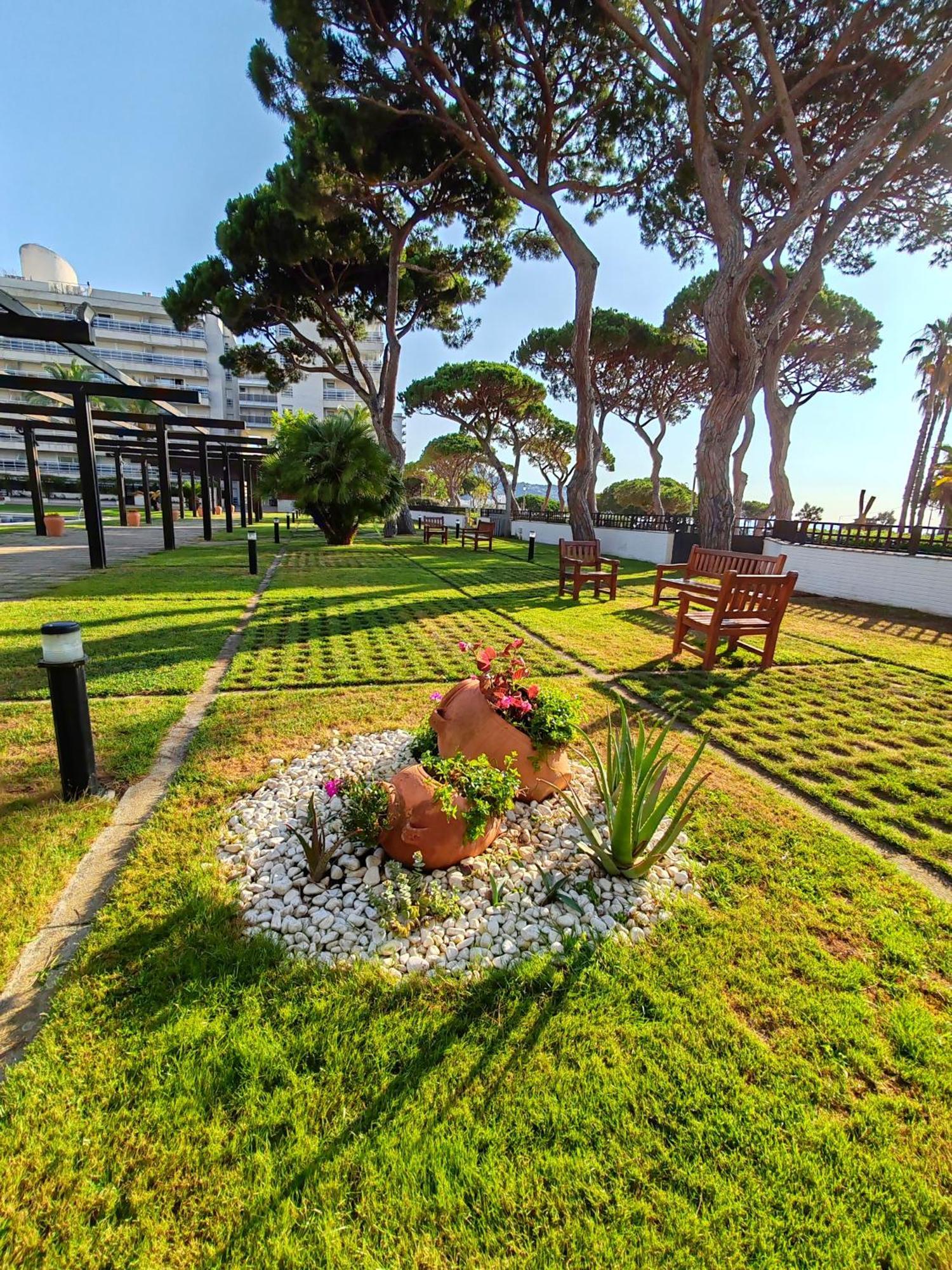 Seafront In Apartment